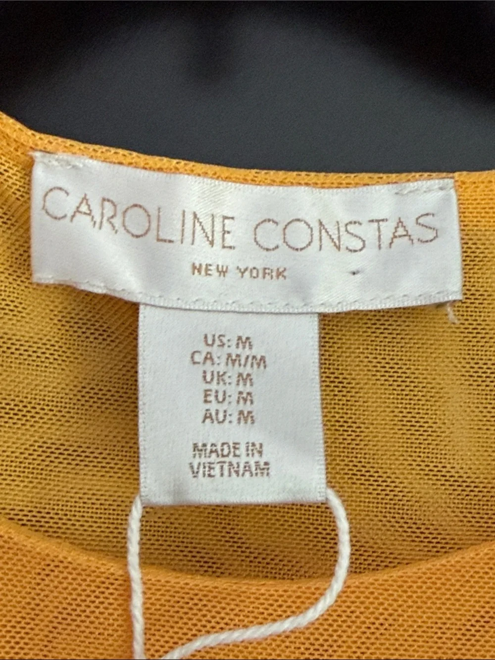 Carolyn Constas Gradient Orange to Red swim coverup  Dress M